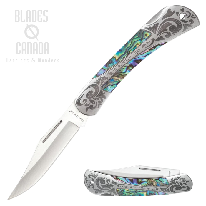 Timber Wolf Gentleman’s Abalone Back Lock Folding Knife, Stainless Steel, Abalone Handle, TW1164